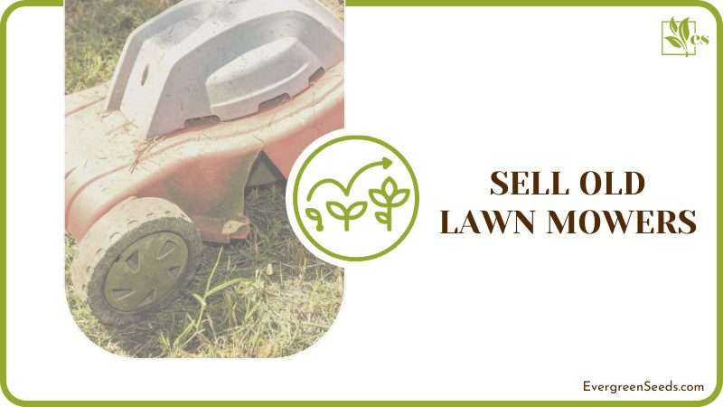 Sell Old Lawn Mowers