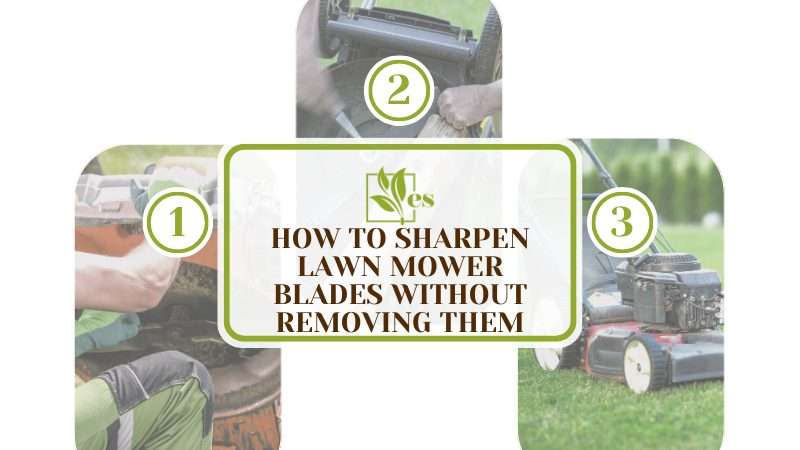 Sharpen Lawn Mower Blades