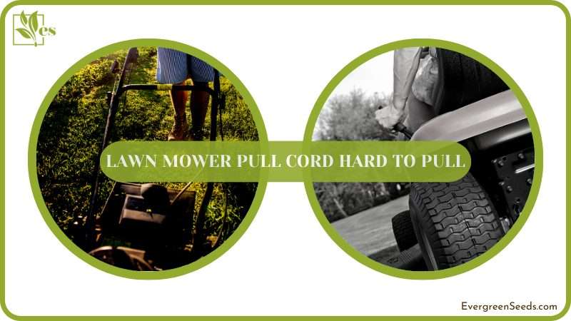 Solving the Hard Pull Cord Issue on Lawn Mowers