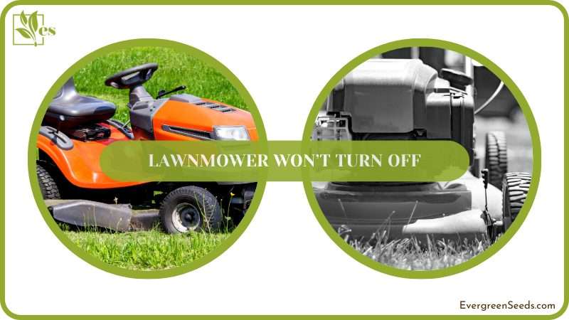 Turning on Lawnmower Easily