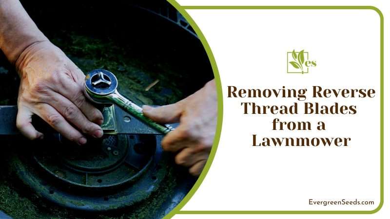 Understanding Lawn Mower Blade Threading