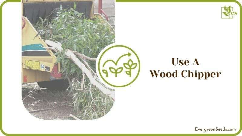 Use a Wood Chipper