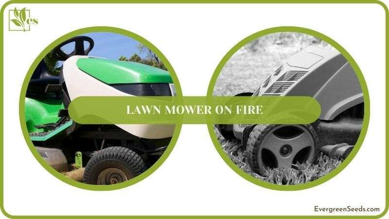 Why Lawn Mower on Fire