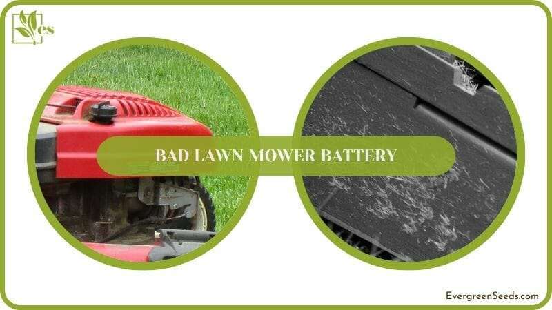 why Lawn Mower Battery Bad