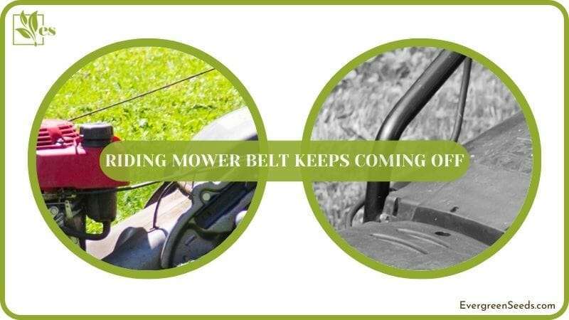 why Riding Mower Belt Keeps Coming Off