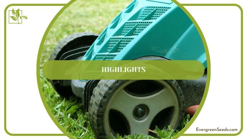 American Lawn Mower 1204 14 Highlights