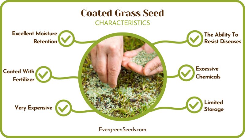 Coated Grass Seed Attributes