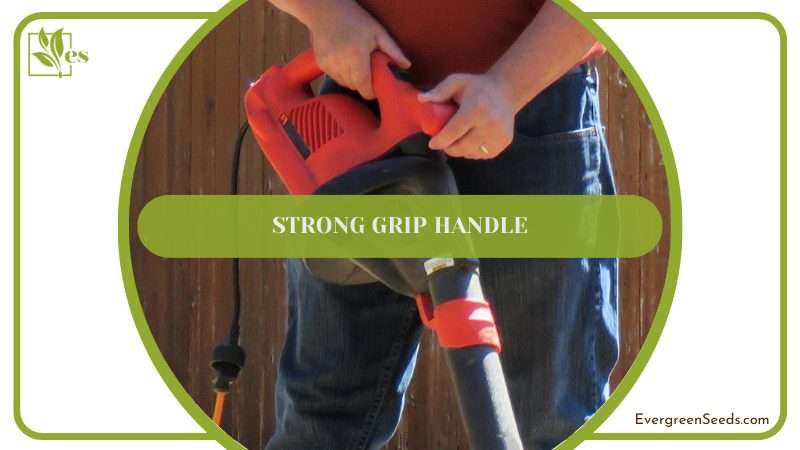 Cordless Blower Kit Which Has a Rubberized Handle