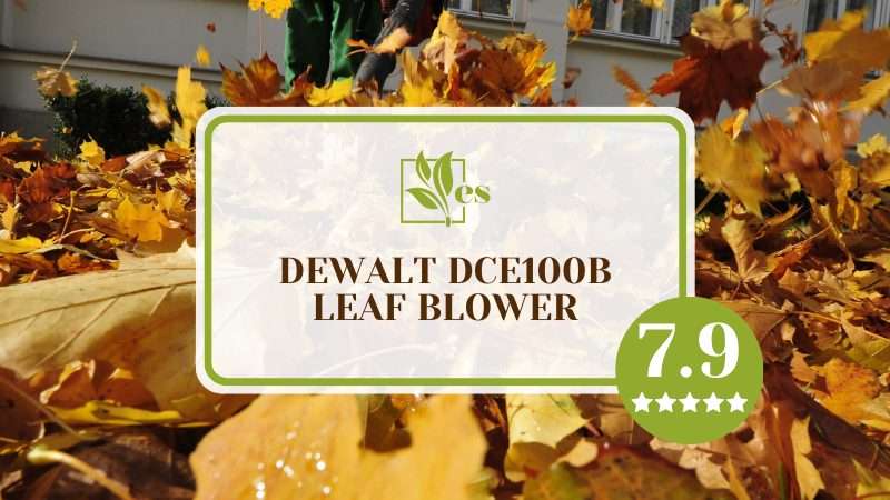 DeWalt DCE100B Leaf Blower Review