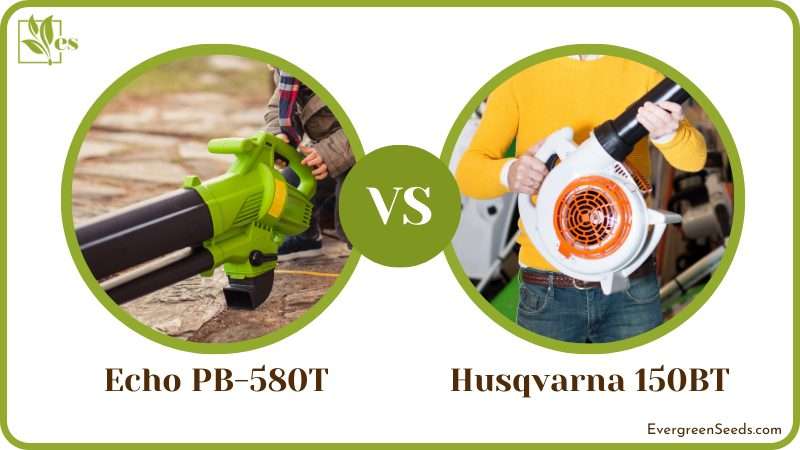 Echo pb-580t and Husqvarna 150bt Product Comparison