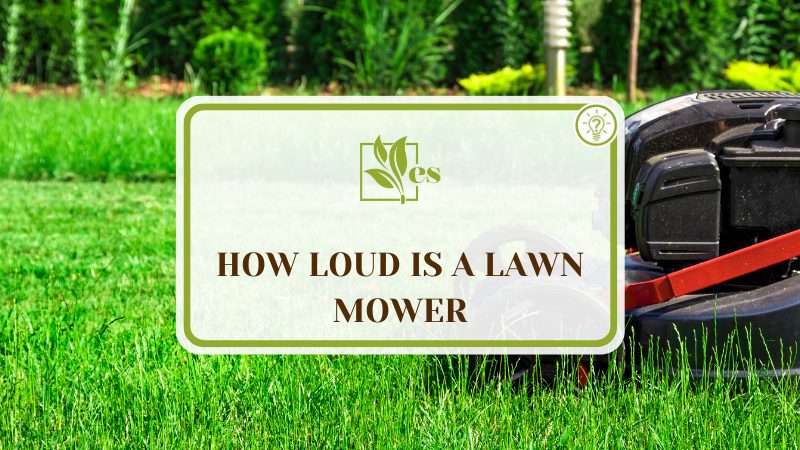 How Loud Is a Lawn Mower