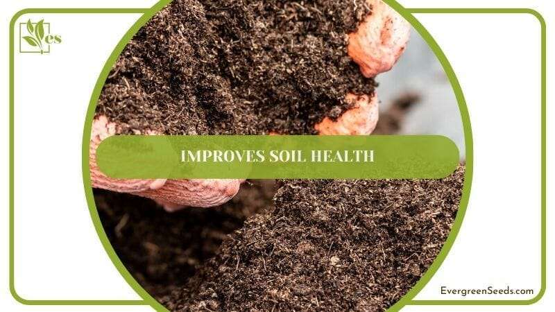 Improves Soil Health