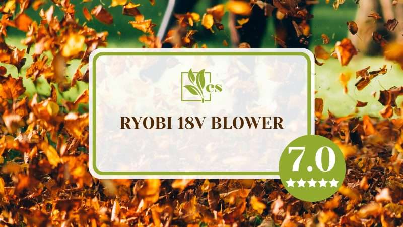 Light Weight Ryobi 18v Blower Review 