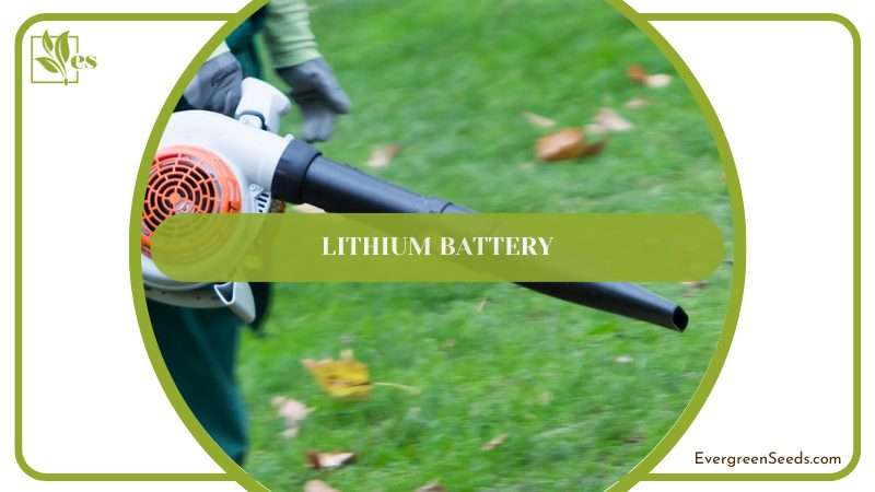 Lsw321 Is Powered by A 20 v Max Lithium Battery