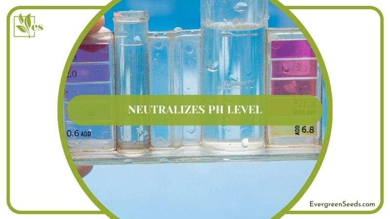 Neutralizes pH Level