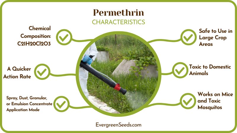 Permethrin Characteristics