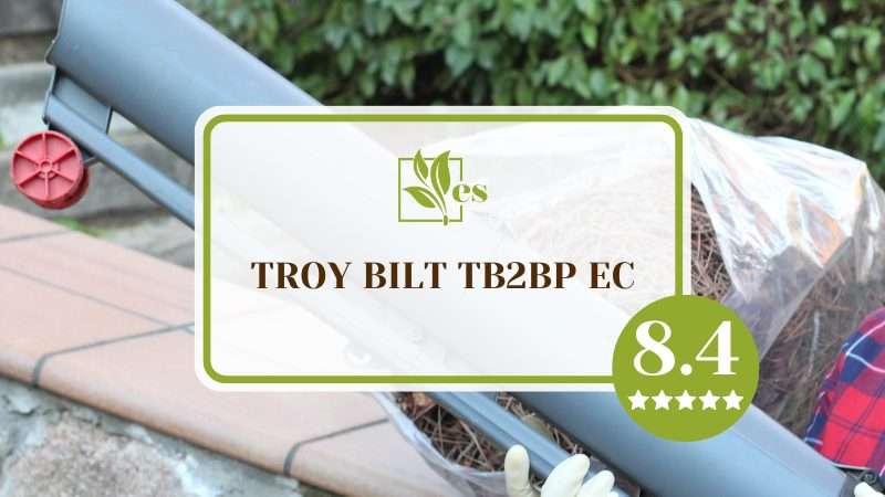Product Details of Troy Bilt TB2BP EC Blower