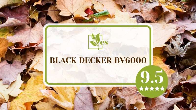 Review of Black Decker BV6000