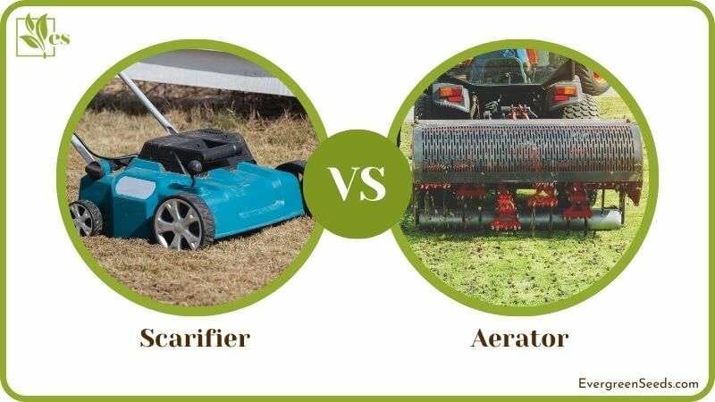 Scarifier vs Aerator