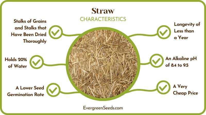 Straw Characteristics