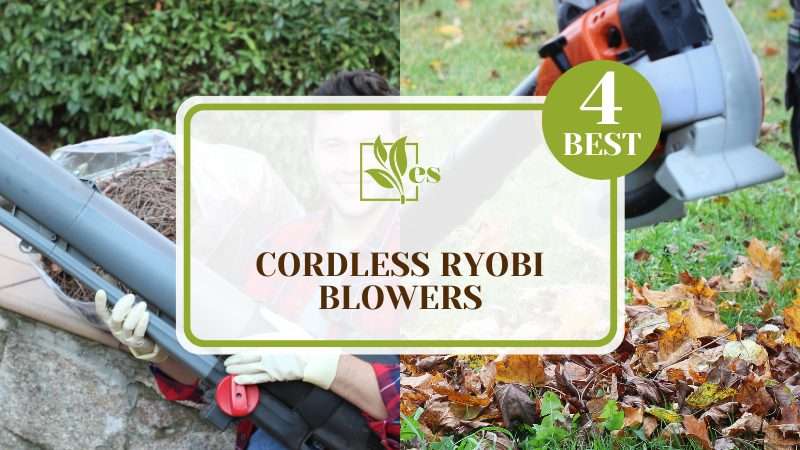 Top 4 Cordless Ryobi Blowers Review