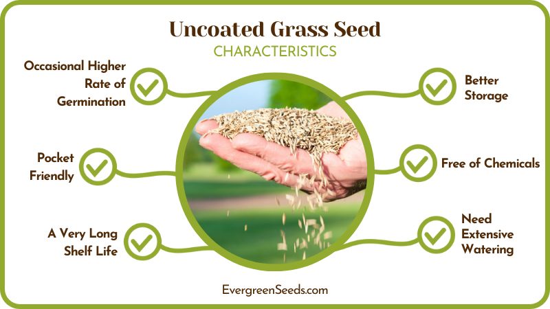 Uncoated Grass Seed Attributes