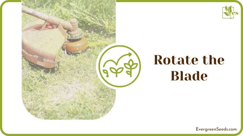 rotate the blade at the edges of the lawn