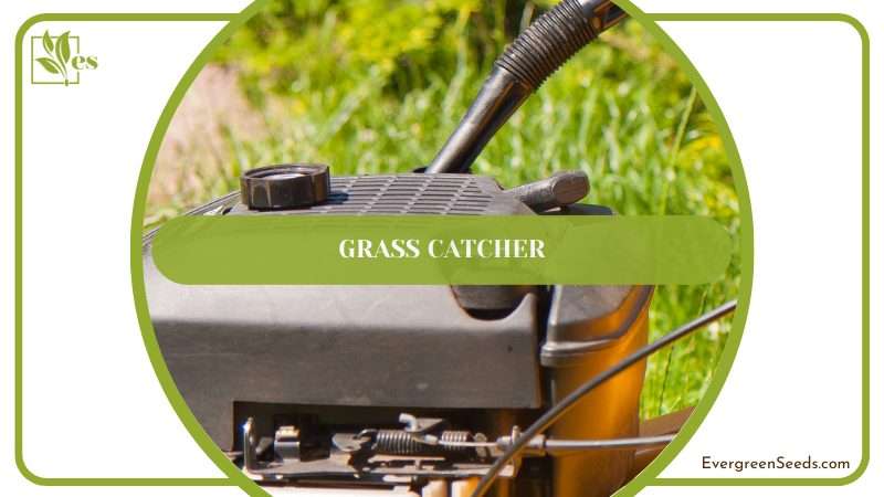 6.6 Gallon Removable Grass Catcher