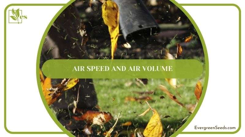 Air Speed and Air Volume of Worx WG512