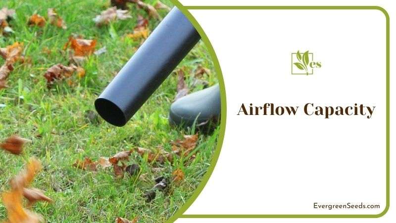 Airflow Capacity of Leaf Blower 3