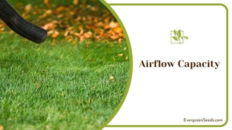 Airflow Capacity of Leaf Blower
