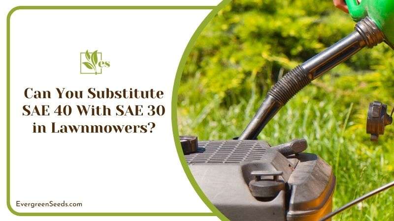 Can You Substitute SAE 40 With SAE 30 in Lawnmowers