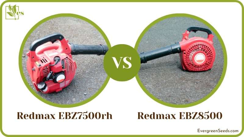 Comparison of Redmax EBZ7500rh vs EBZ8500