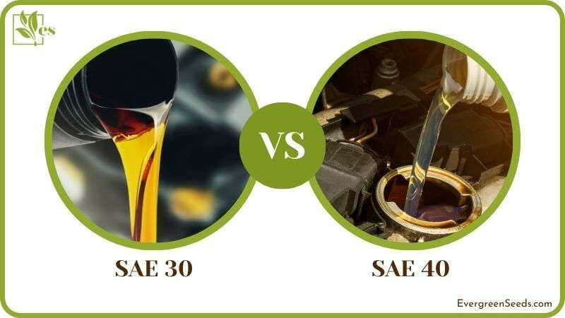 Comparison of SAE 30 vs SAE 40