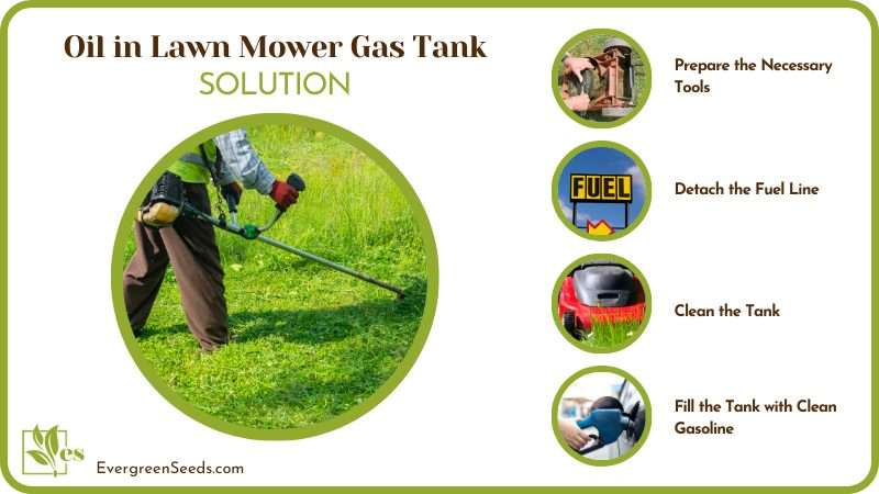 Fix the Issue of Oil in Mowers Gas Tank