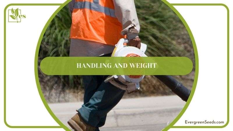 Handling and Weight of Leaf Blower