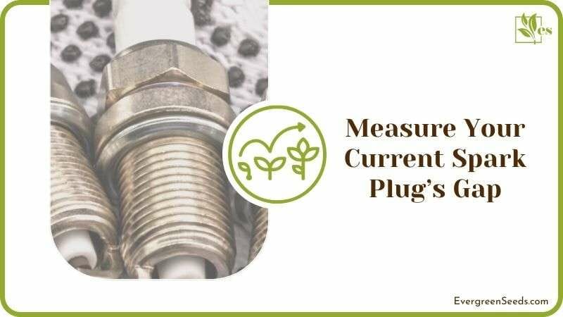 Measure Your Current Spark Plug’s Gap