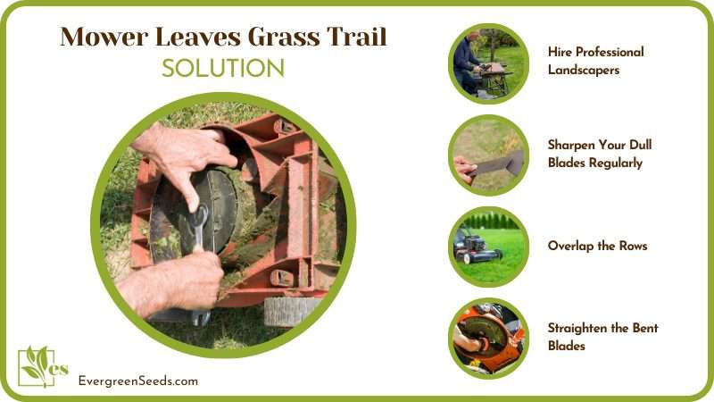 Mower Leaves Grass Trail Solutions