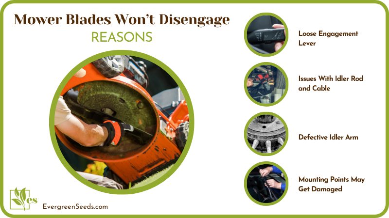 Reasons of Mower Blades Wont Disengage