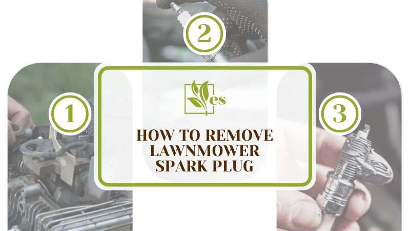 Remove Lawnmower Spark Plug