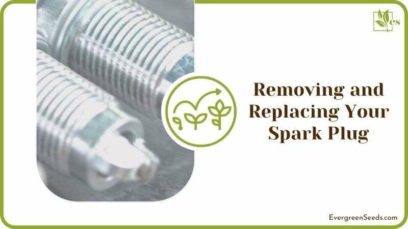 Removing and Replacing Your Spark Plug