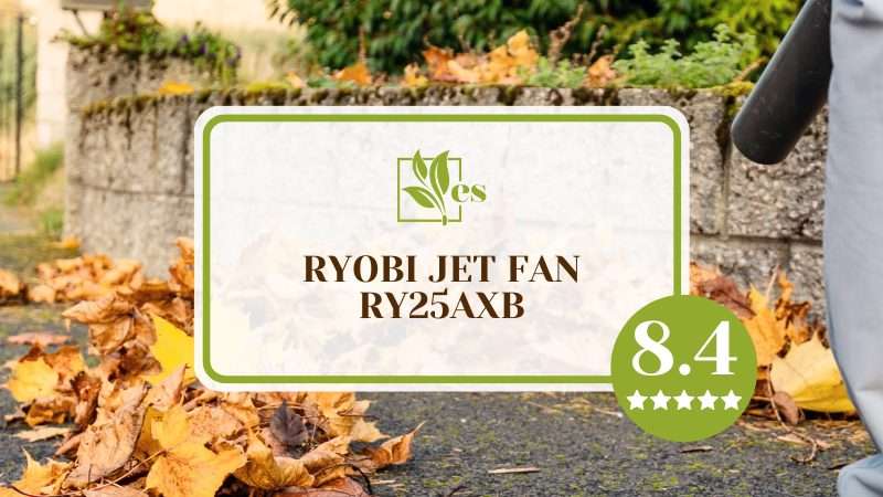 Ryobi Jet Fan RY25AXB backpack Leaf Blower