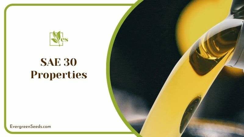 SAE 30 Properties