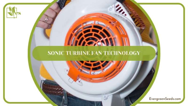 Ultrasonic Turbine Fan Technology of Worx Wg585