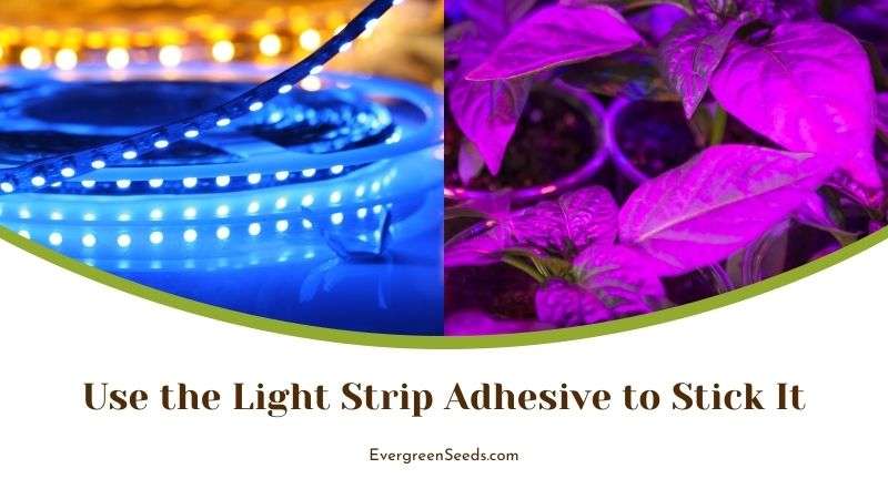 Use the Light Strip Adhesive to Stick It