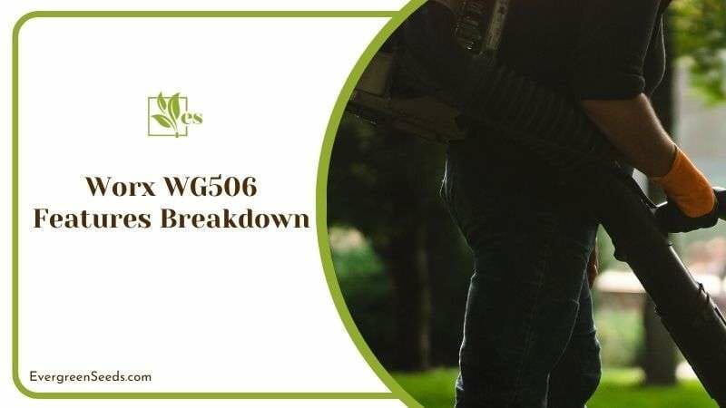 Worx WG506 Features Breakdown