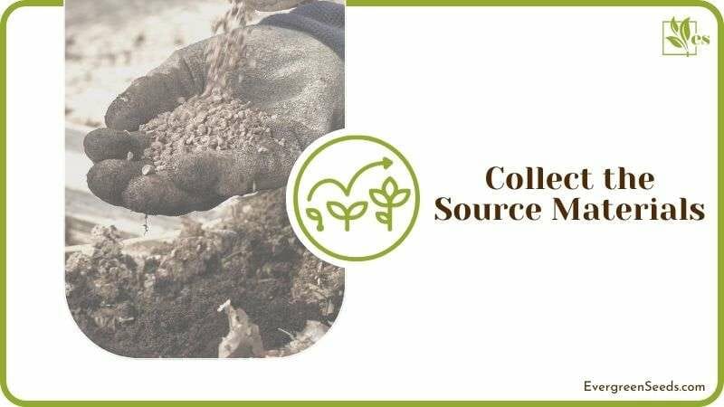 Collect Humic Source Materials