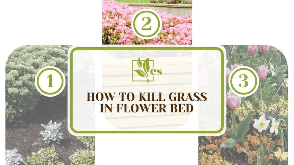 How To Kill Grass in Flower Bed
