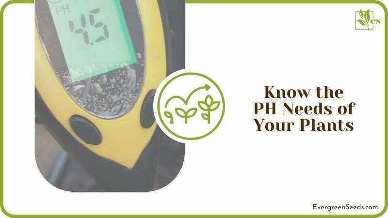 Know the PH Needs of Your Plants