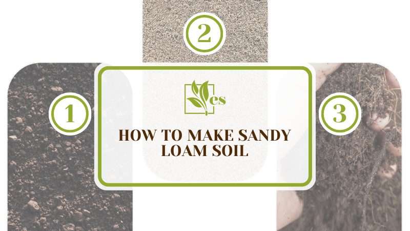 Make Sandy Loam Soil